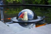 VT Floating Fish Dome